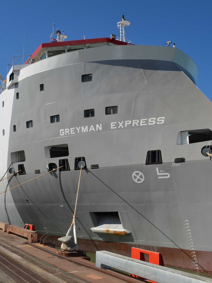 Australian company Heytesbury buys mega fleet of 11 live export ships