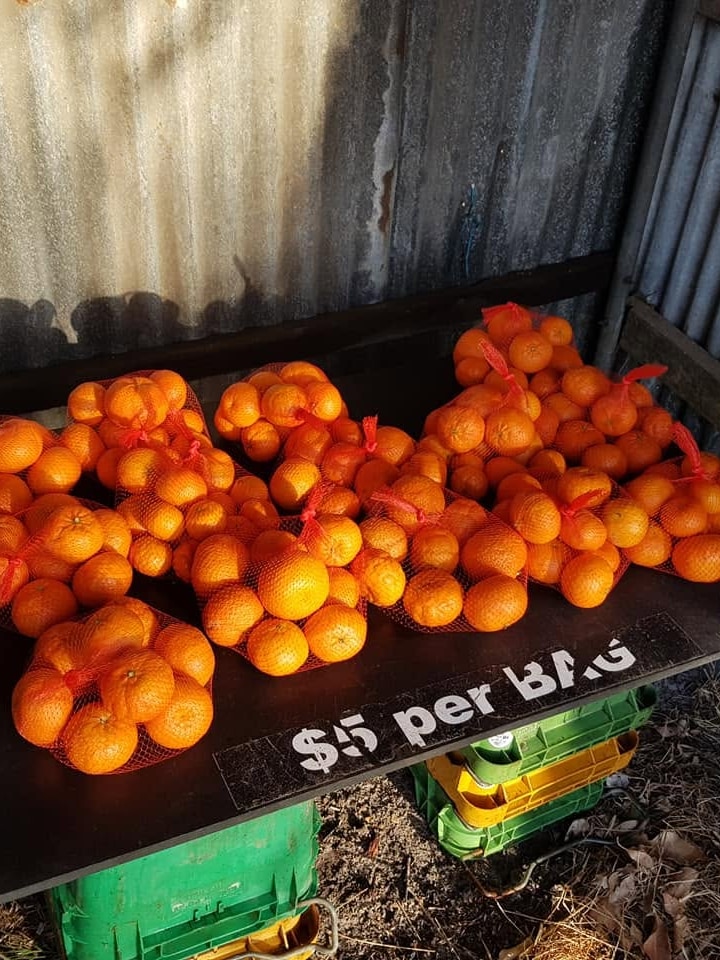 After 70 bags of fruit were stolen in one weekend, farmer closes roadside stall