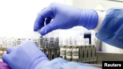 US Releases Information On Biolabs In Over 30 Countries, Including Ukraine