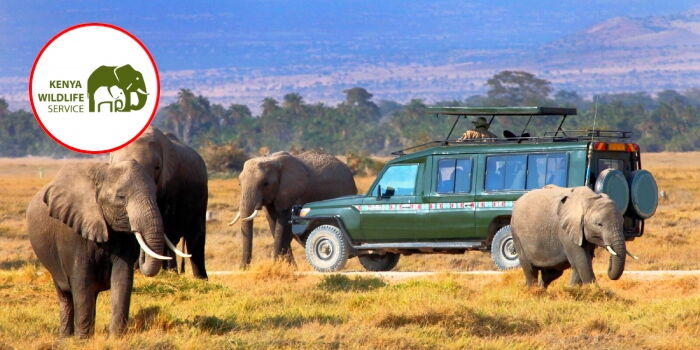 KWS Launches New Programme Targeting Students Amid Wave of Unrest