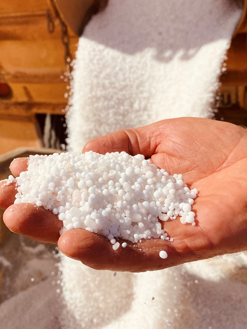 Farmer fertiliser hope as Iran ceasefire promises to reopen supply