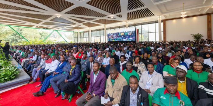 Thousands of Unemployed Teachers Set for Overseas Jobs in New TSC Plan