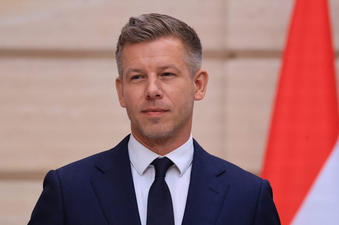 Magyar and Metsola discuss EU dropping rule of law procedure against Hungary