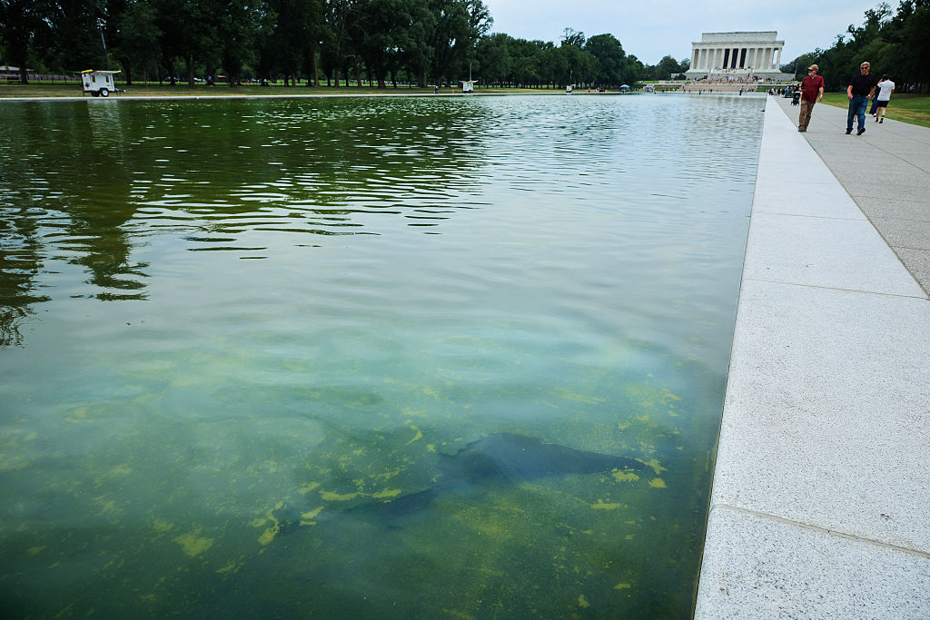 $14 million, green water, peeling paint: Trump’s reflecting pool reno isn’t going well