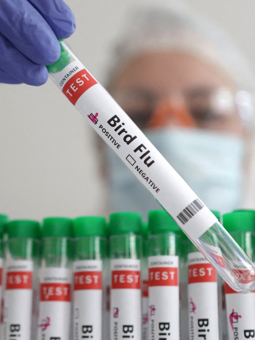 First case of deadly H5 bird flu confirmed in Australia