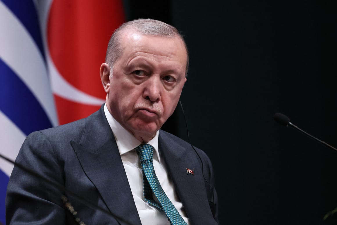 Erdoğan launches crackdown ahead of NATO summit