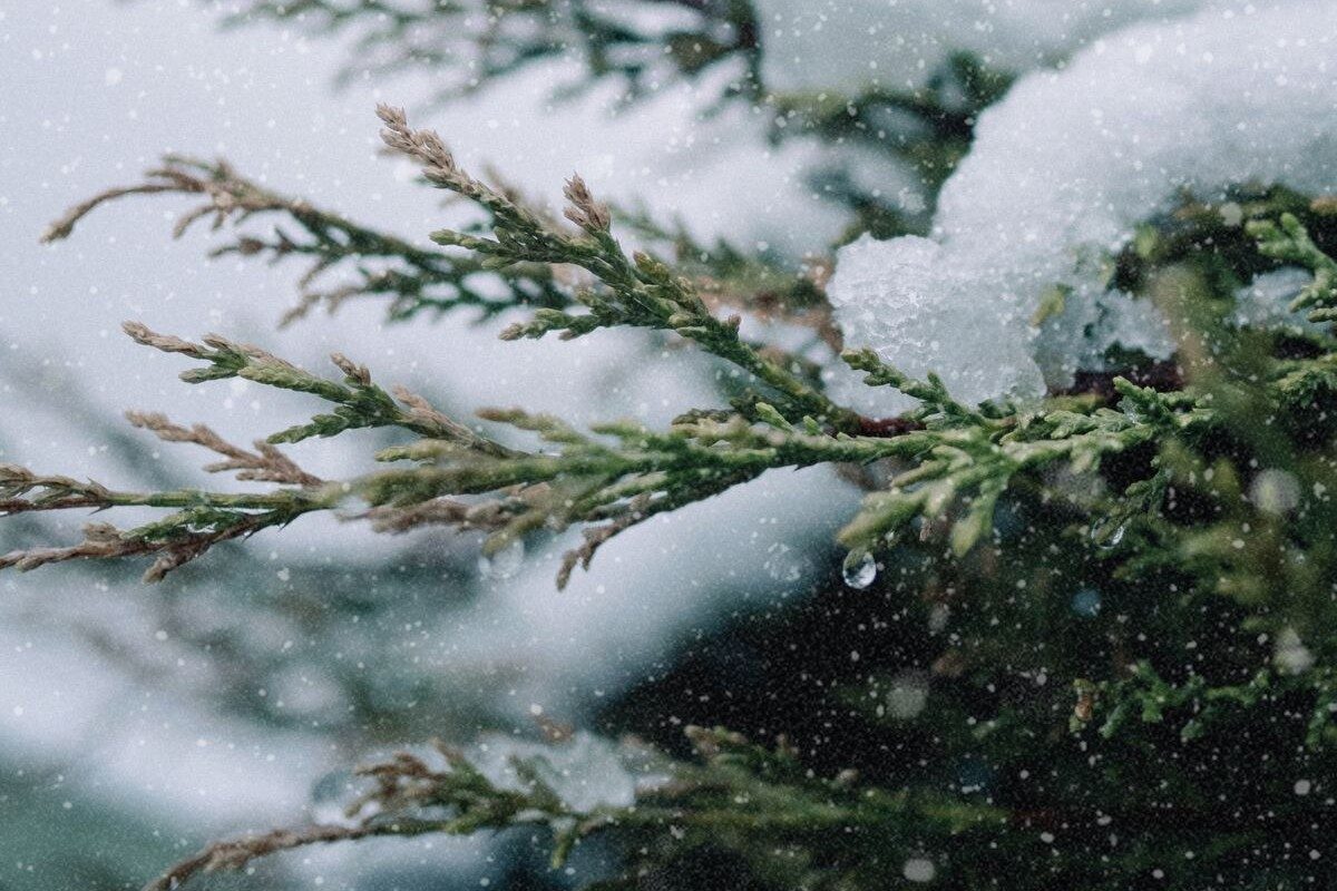 Snow is expected in these provinces as a cold front moves in this week