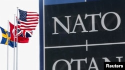 Trump-Zelenskyy Meeting Set For NATO Summit Amid US Push To End Russia’s War