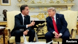 Ahead Of High-Stakes NATO Summit, Ex-US Envoy To OSCE James Gilmore Says Alliance Is Renewing Itself
