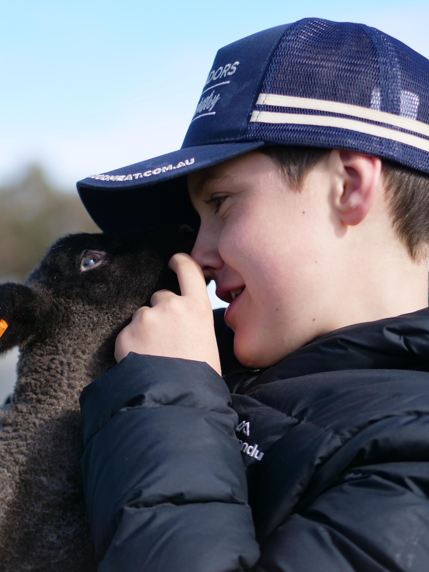 Boy with ‘photographic memory’ helping to maintain heritage sheep breed