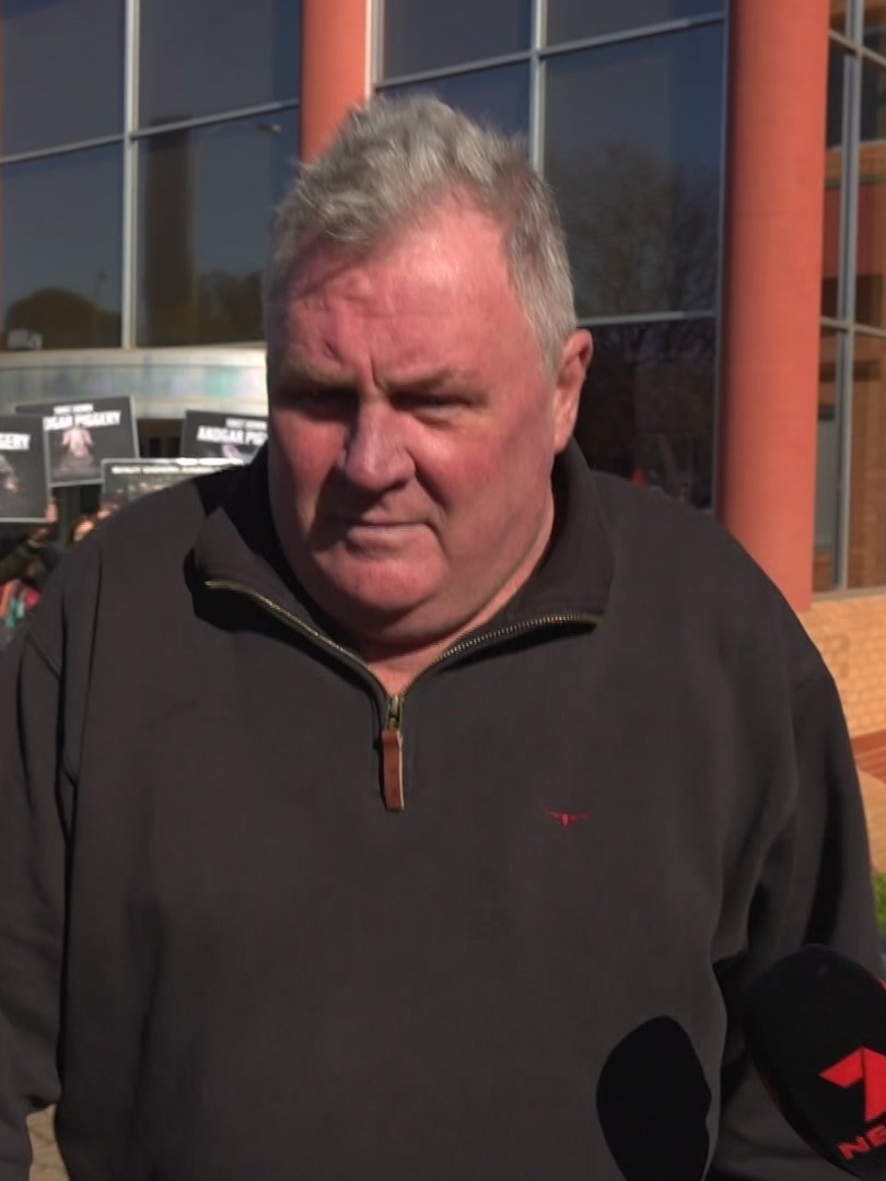 ‘Faeces, urine and dirt’: Piggery owners in court on animal cruelty charges