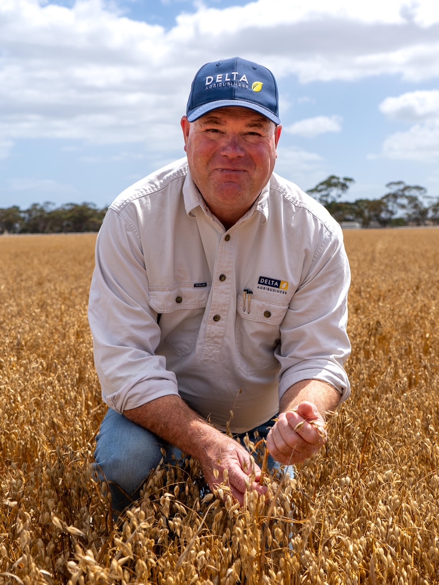 Farmers search for ways to break free from controversial herbicide