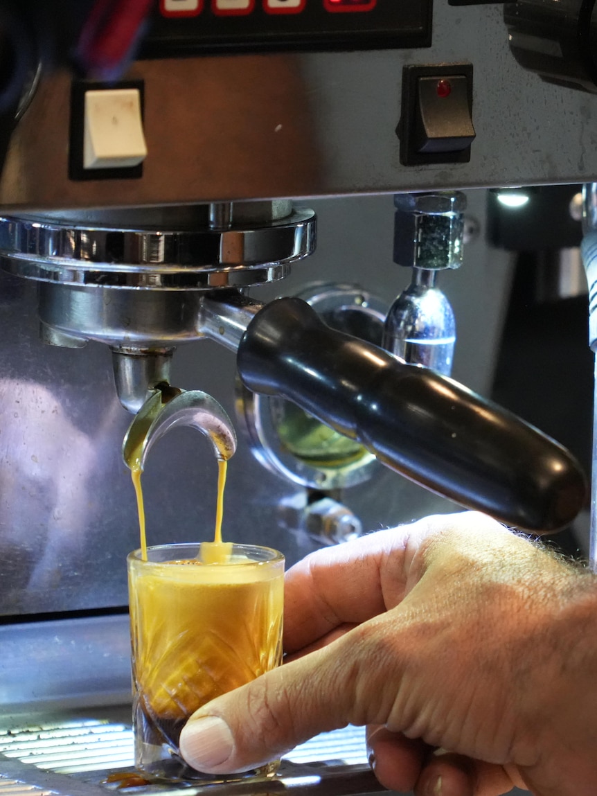 New varieties set Australian coffee industry up for expansion