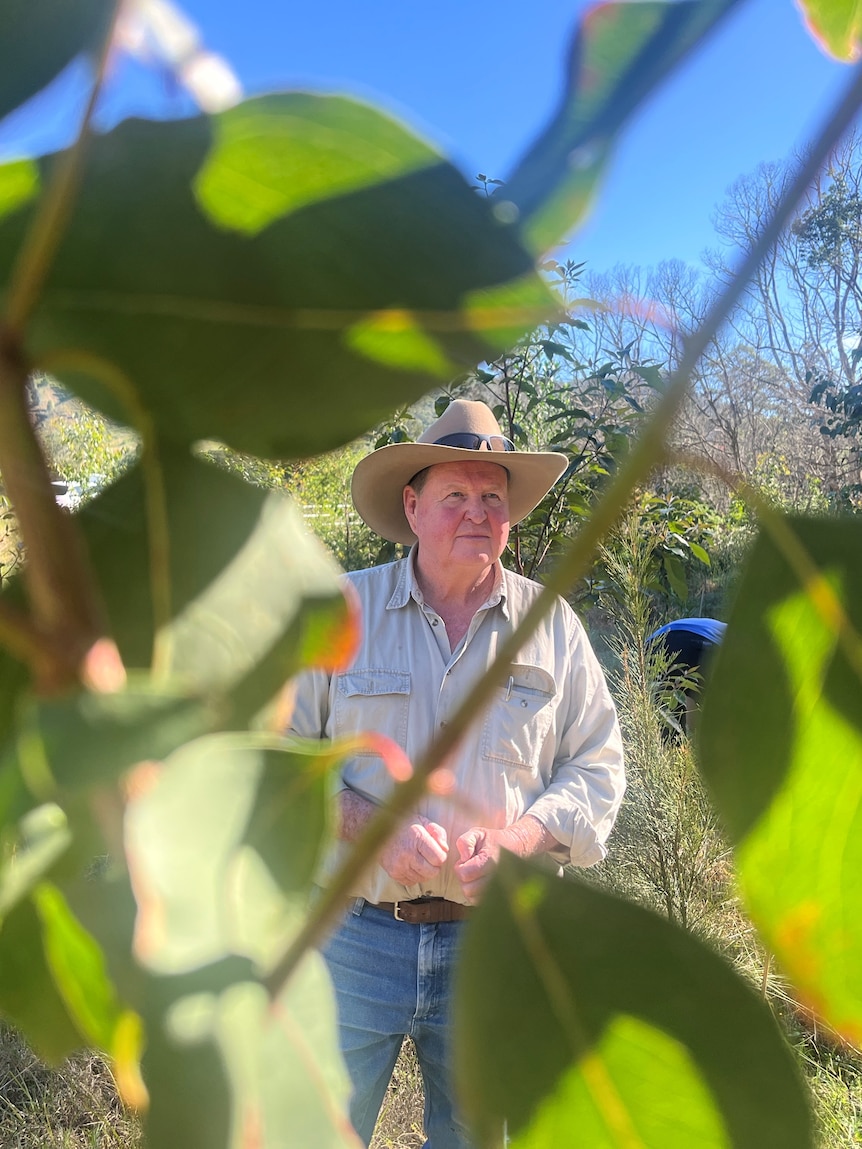 Cattle farmer plants 14,000 trees to help slow flow of flood water