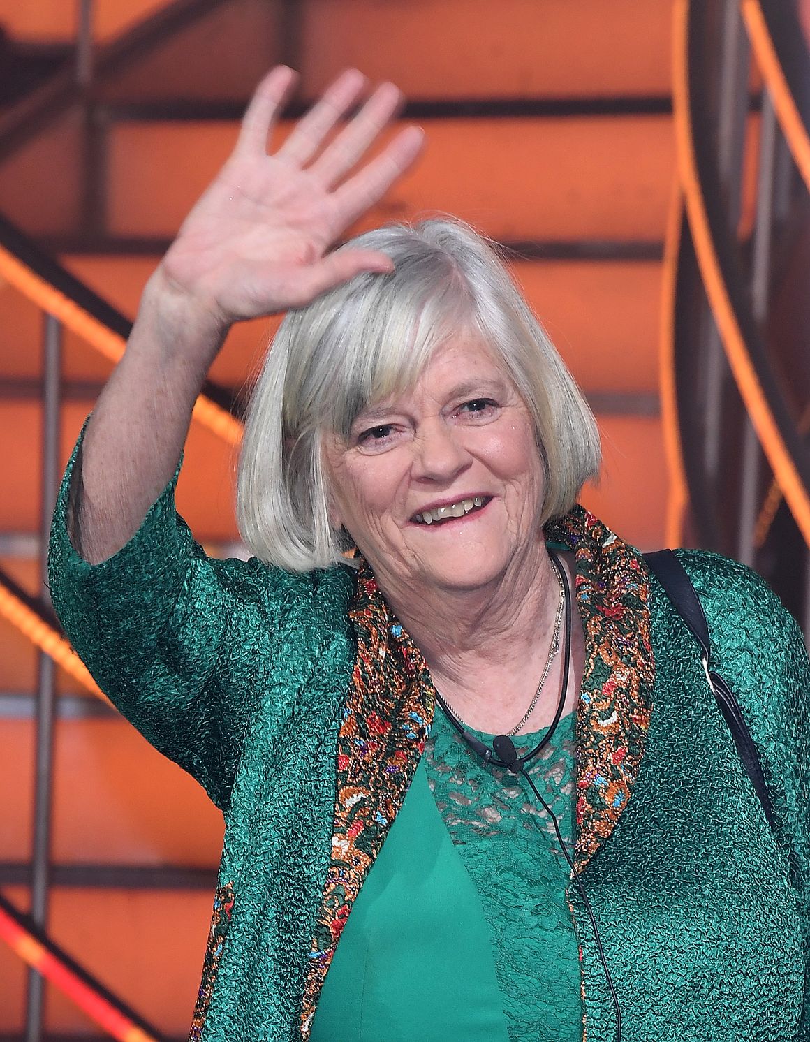 New arrest in death of Ann Widdecombe