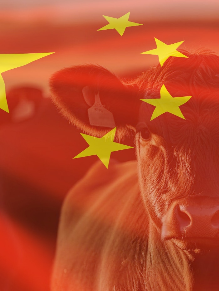 China has stockpiled ‘huge quantities’ of frozen beef for this moment