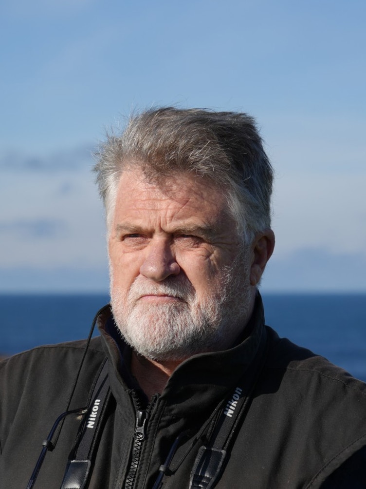 The Victorians watching coastal birds closely for looming H5N1 infection