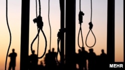 Trump Calls Iranian Officials ‘Savages’ After Latest Executions Of Protesters