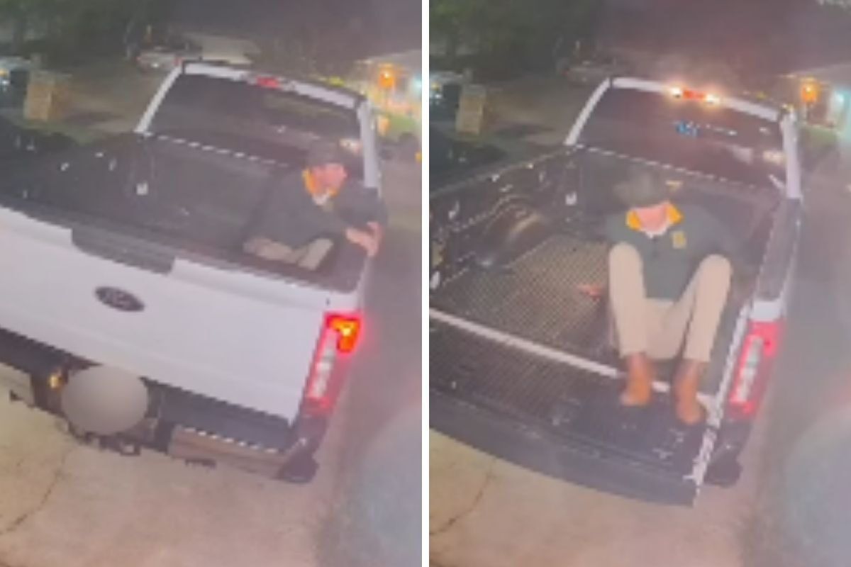 Springbok fan makes headlines after blacking out on back of bakkie [video]