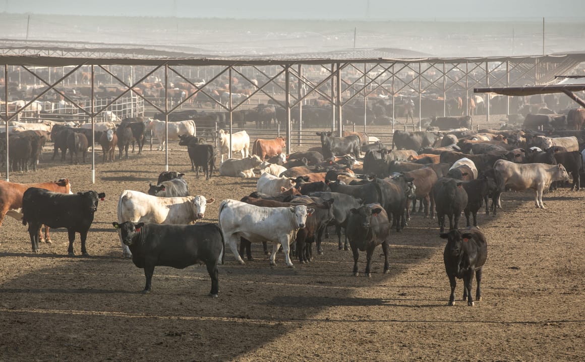 Trump administration rejects UN farm declaration over gender references