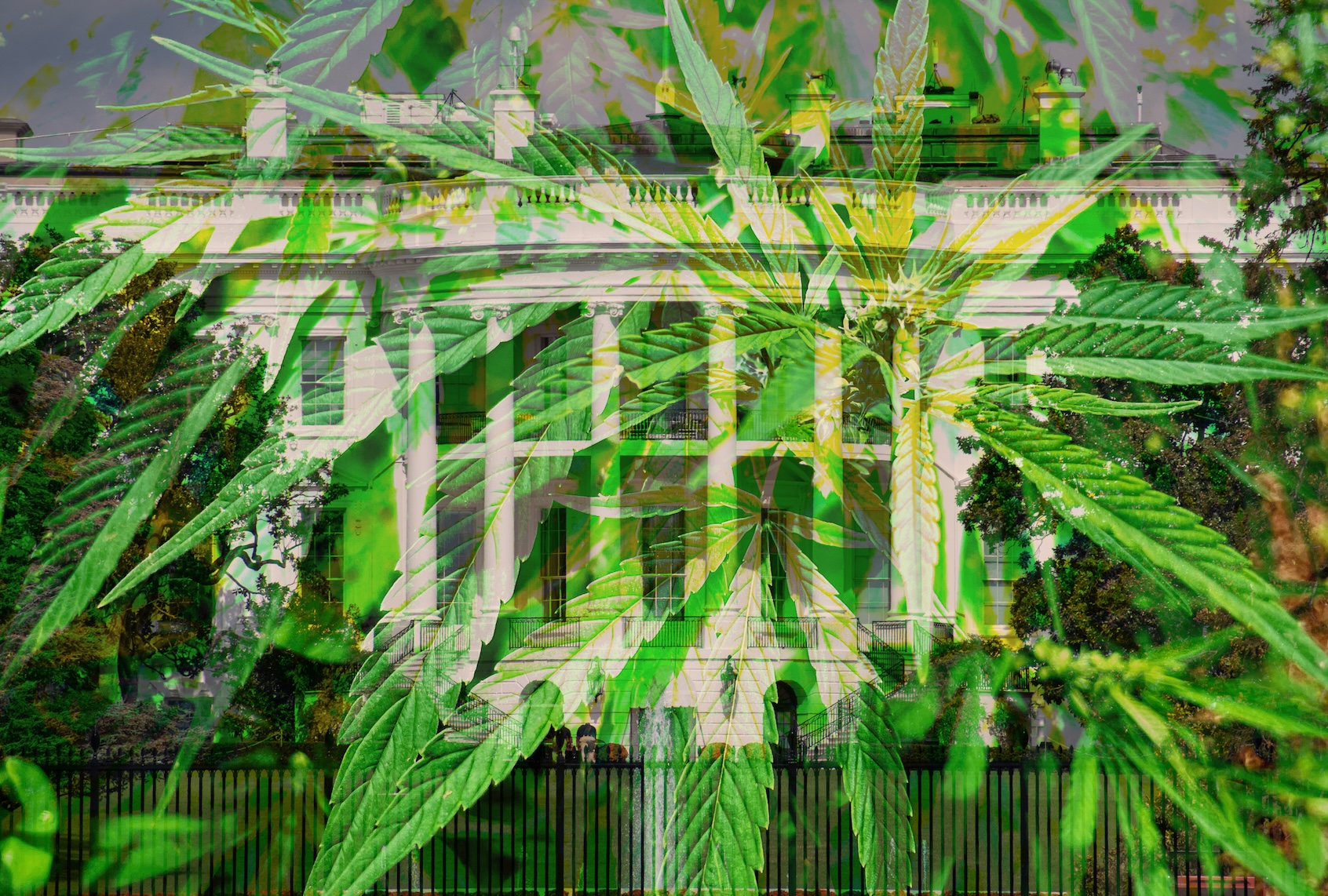 Big cannabis has cozied up to the GOP
