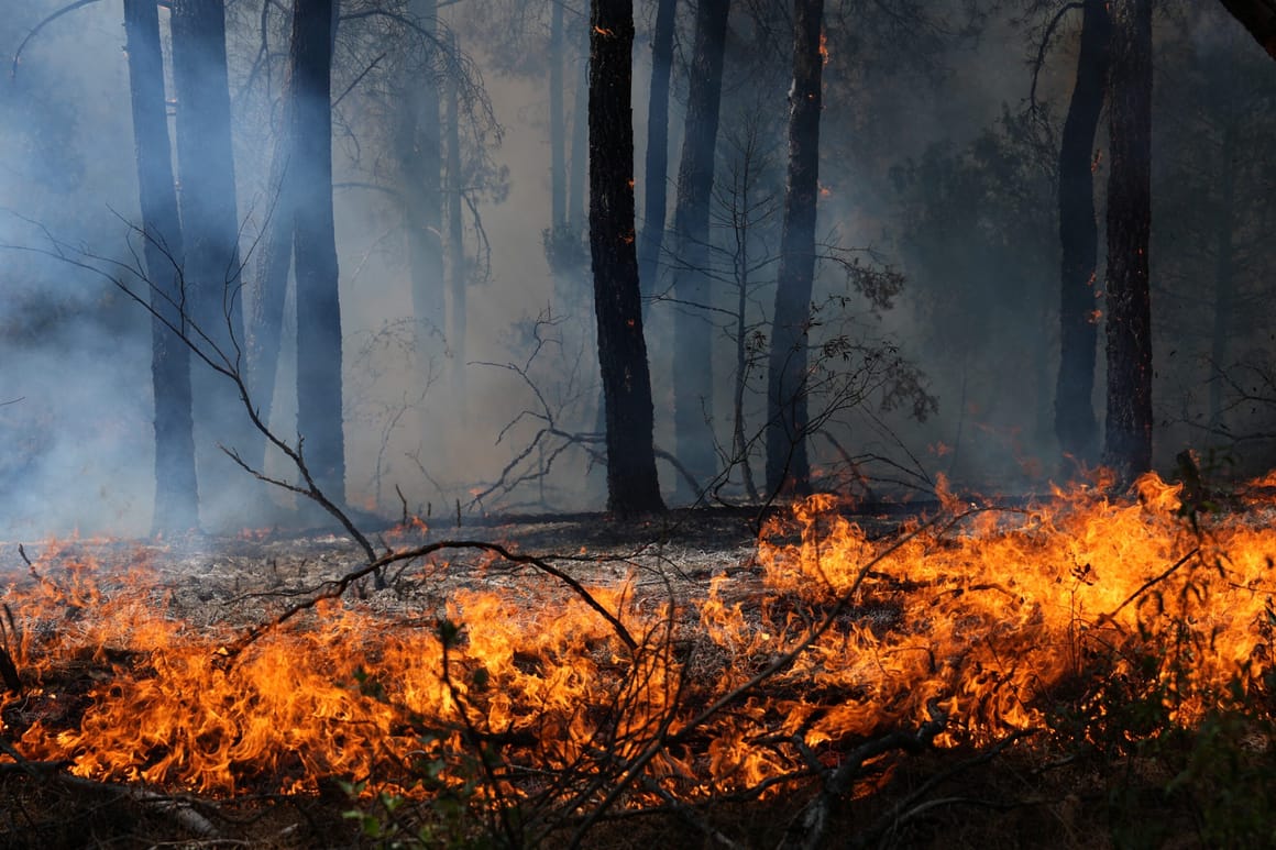 Record-breaking wildfires burned nearly 100,000 hectares in France, interior minister says