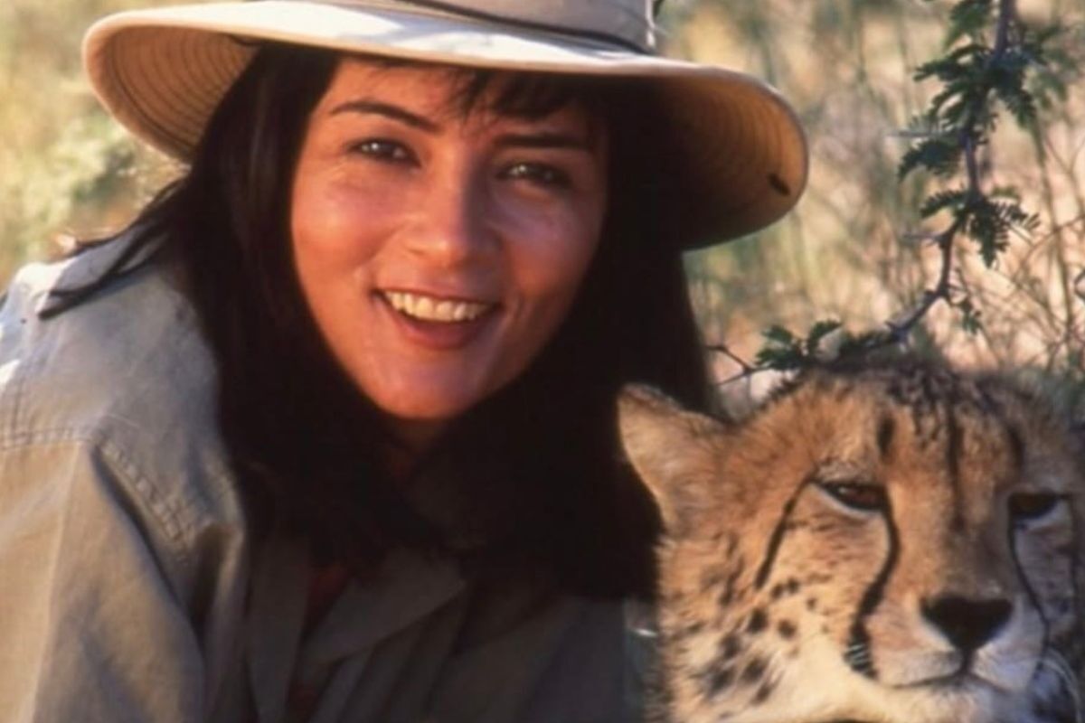RIP Gillian van Houten: Five things to know about iconic newsreader