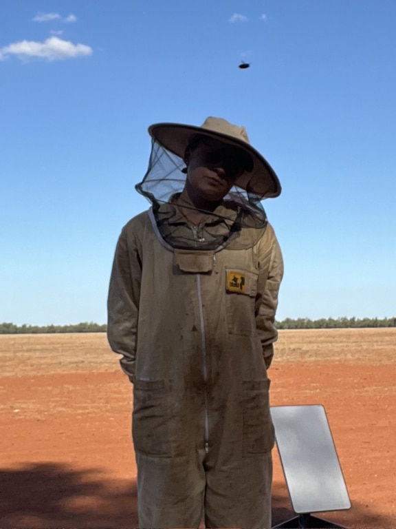 ‘How do I not have enough money to live?’ The nomadic life of a bee drover