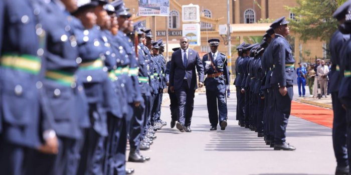 Inside Nairobi Metropolitan Police Command Structure, Units and Roles