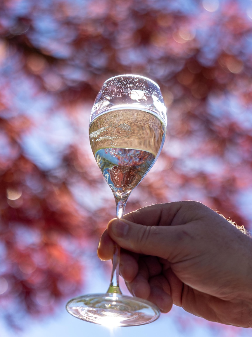 Aussie wine exports plunge as drinkers cut back worldwide