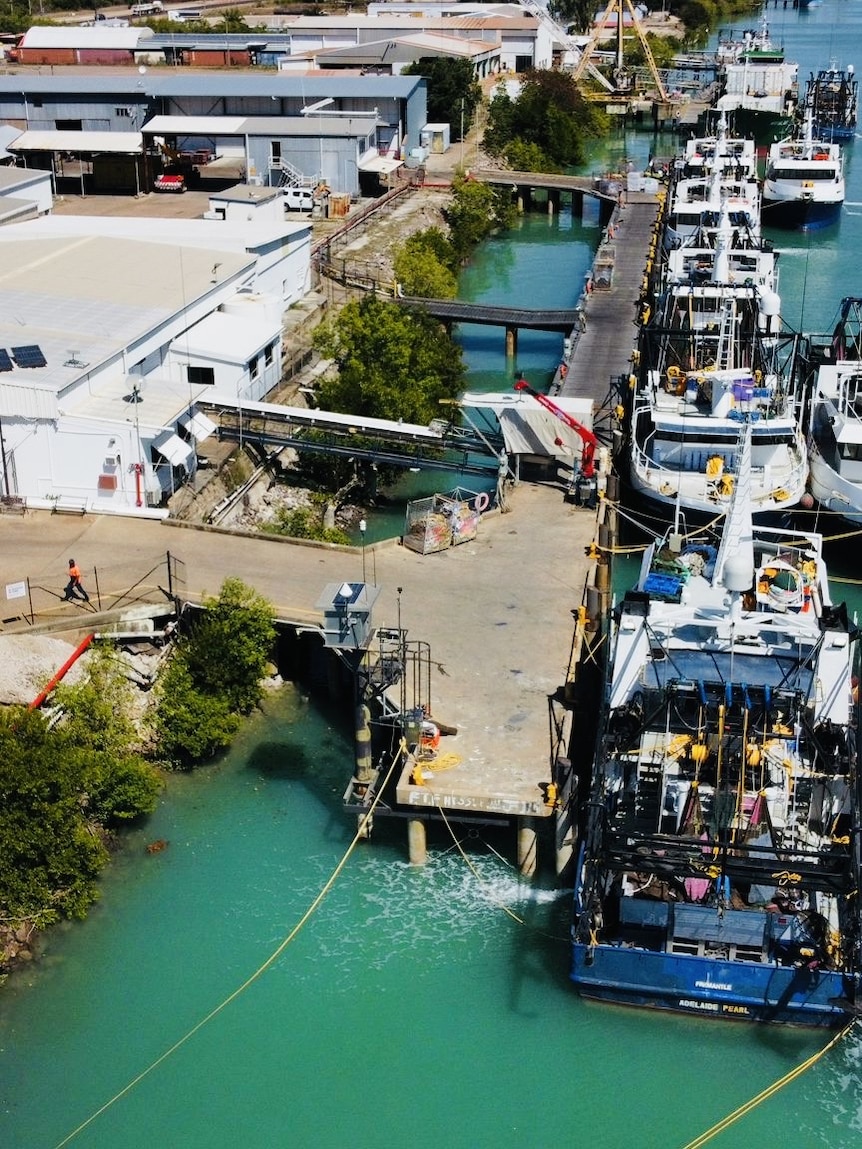 Trawlers sit idle as tiger prawn season gets underway