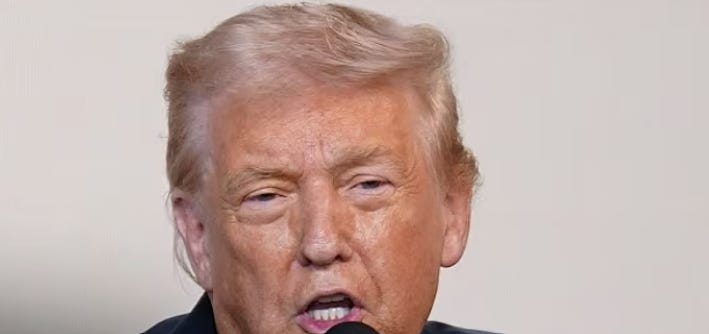 Trump Is Under Investigation For Scheme To Sell Insider Access