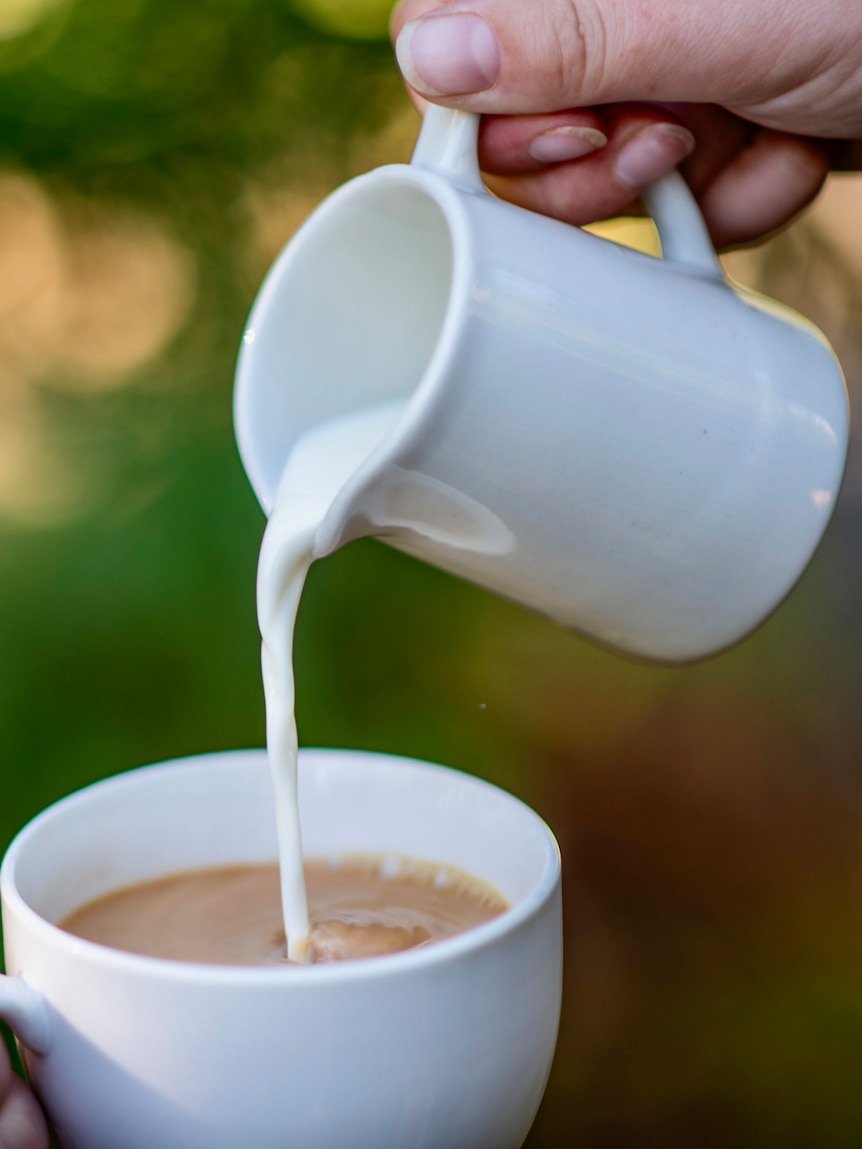 Major milk company fined for misleading consumers about fresh milk