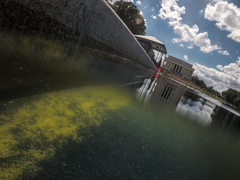 DOJ reverses charges in Reflecting Pool vandalism case