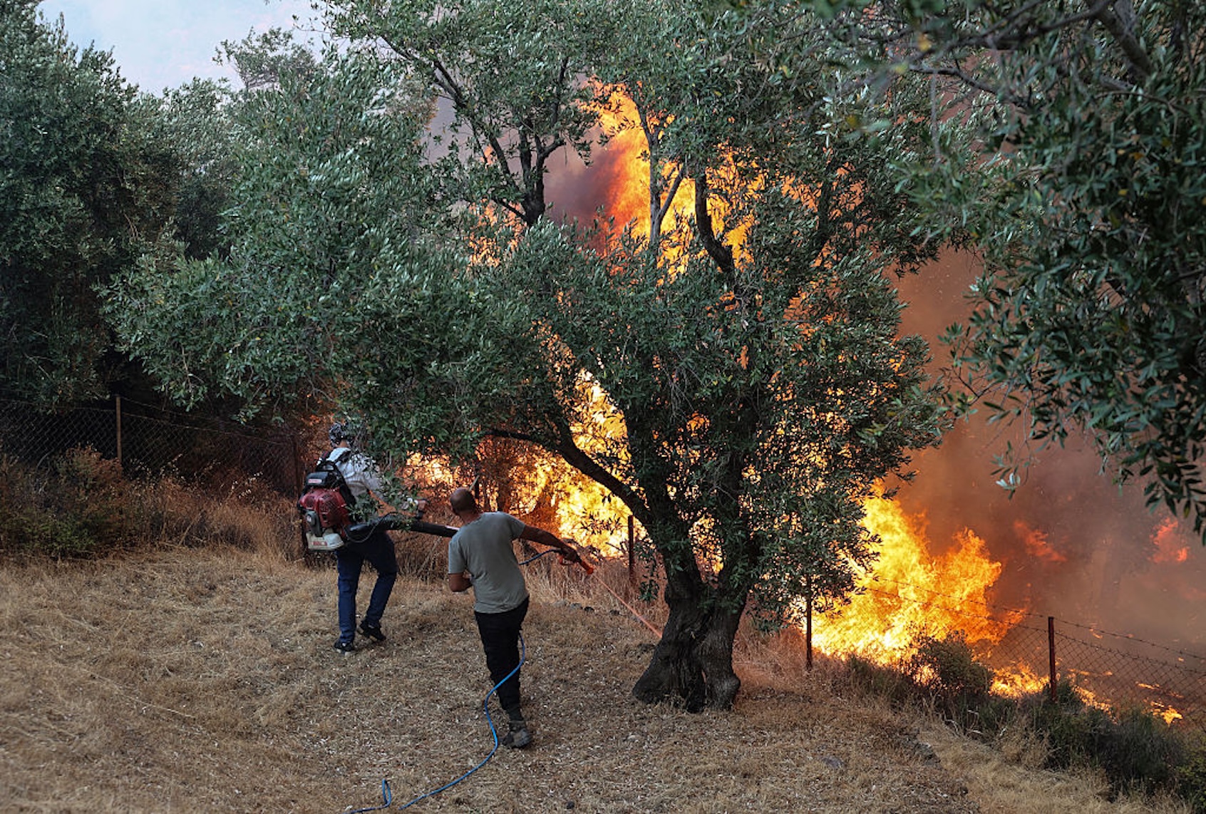 Lesbos is burning. I’m not there