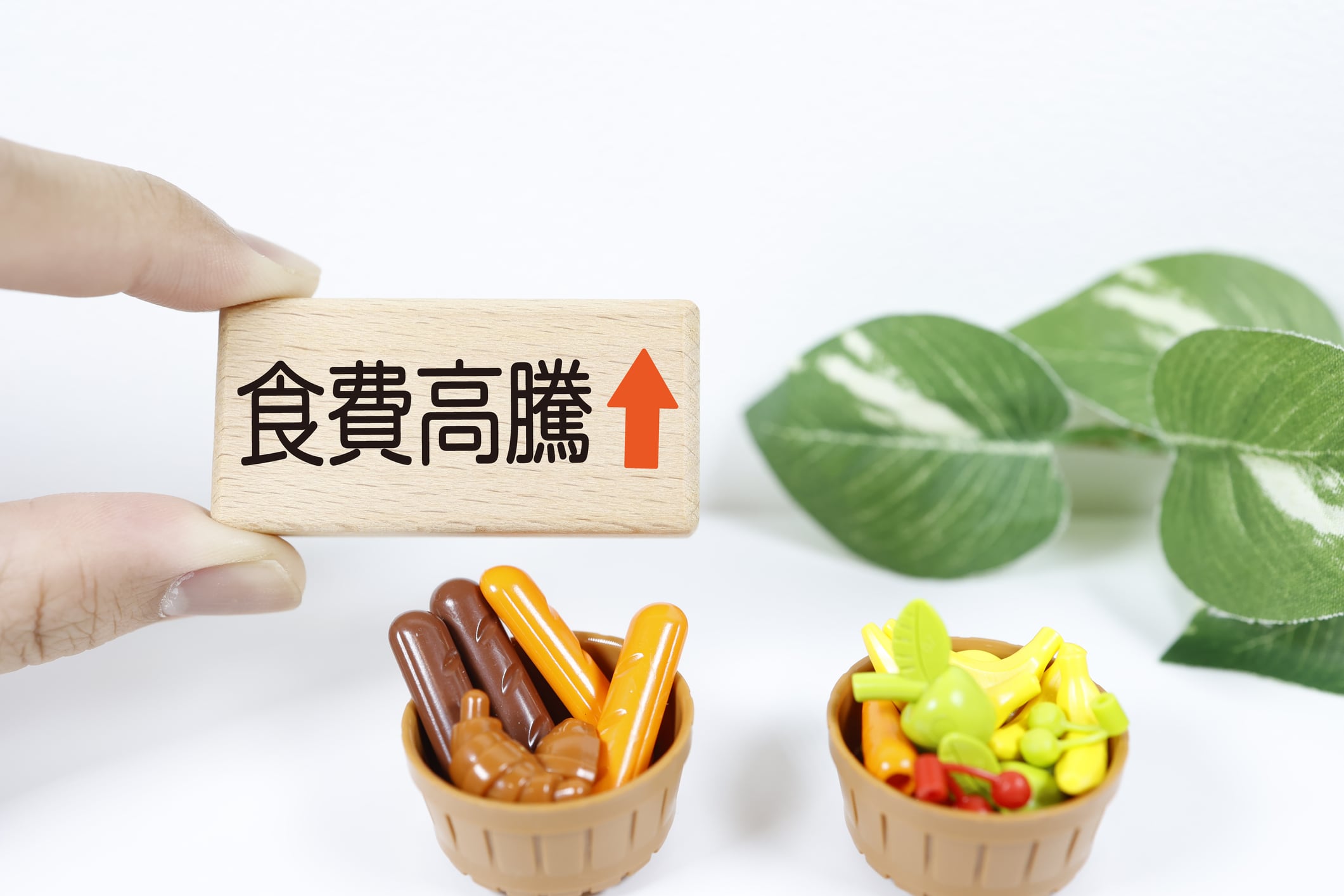 Price hikes hit Japan processed foods hardest amid Middle East conflict