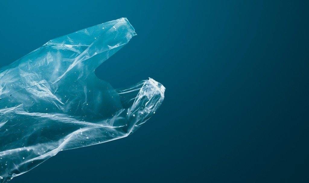 Plastic-Eating Bacteria Just Got A Powerful Upgrade