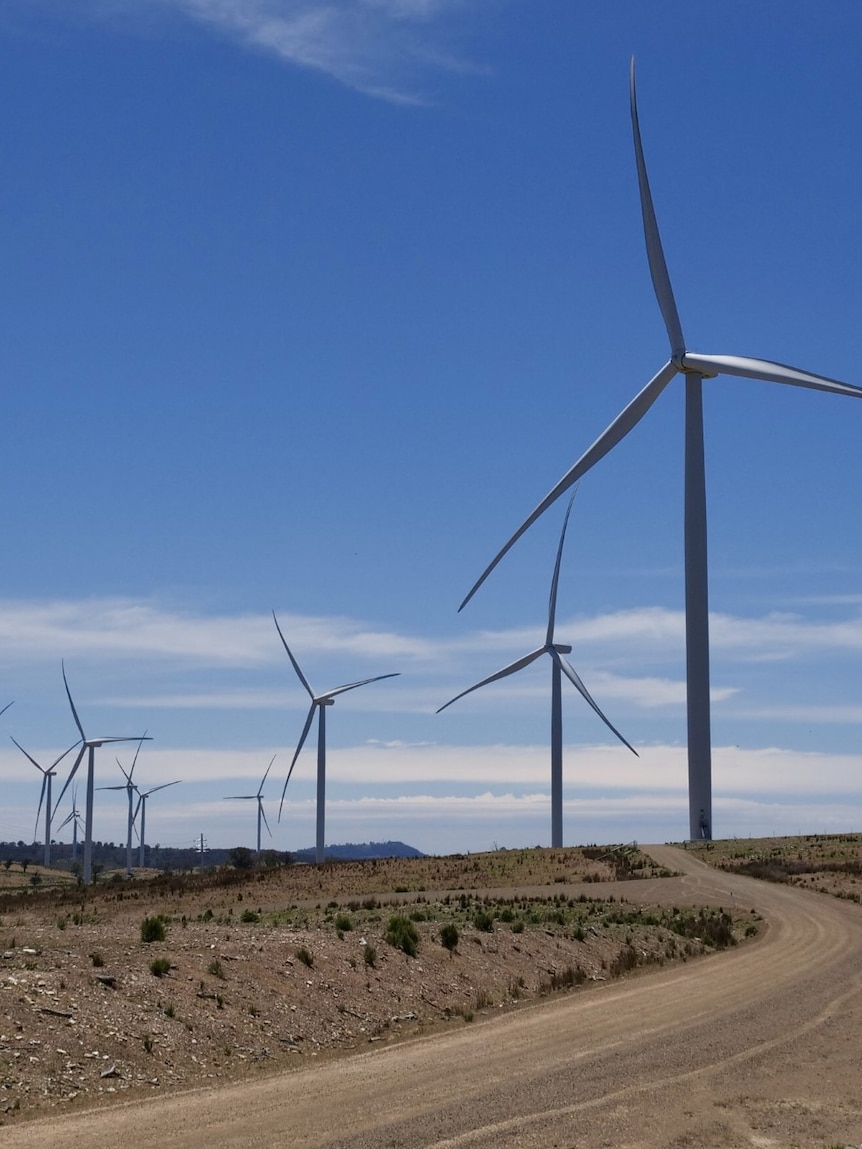 Energy minister admits to mistakes during lagging renewables rollout