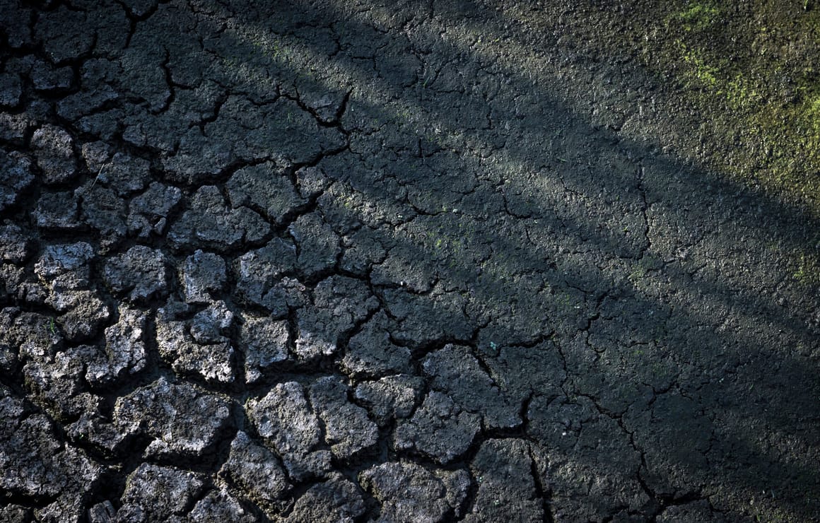 Scorching summer will cost France €10B to €15B, environment minister estimates