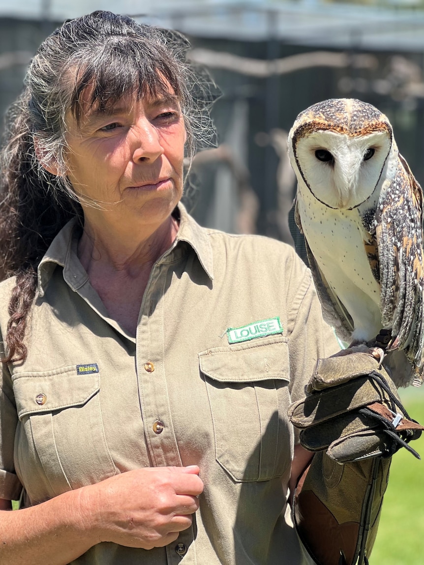 Bird keepers call for vaccines as avian influenza cases spread inland