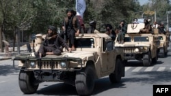 Taliban Official Killed As Violence Flares In Northern Afghanistan