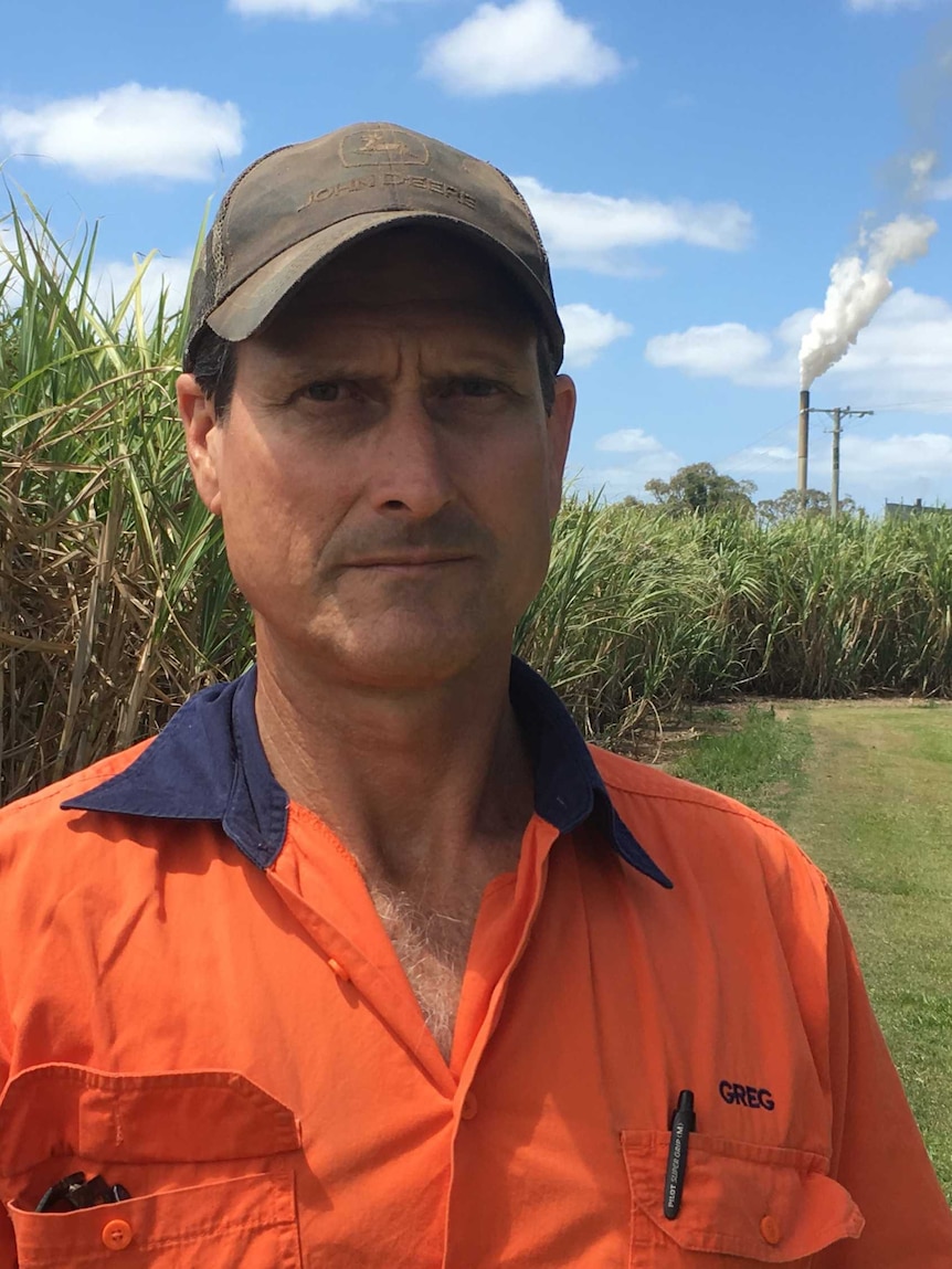 Gold Coast canefarmers ‘devastated’ after sugar mill terminates contract