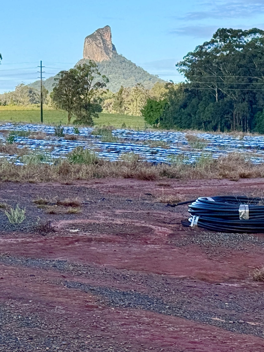Industry condemns labour hire company that misled inspectors on farm