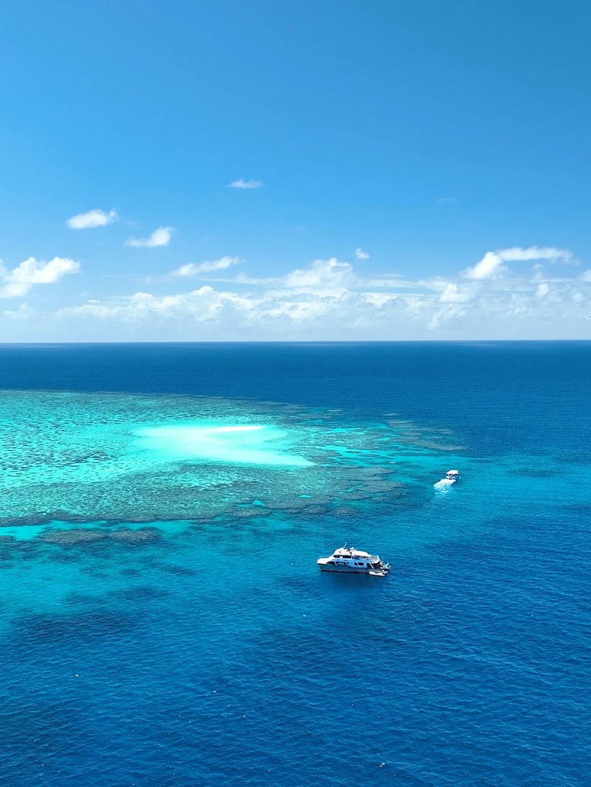 Reduced fertiliser use linked to cleaner water flowing to Great Barrier Reef