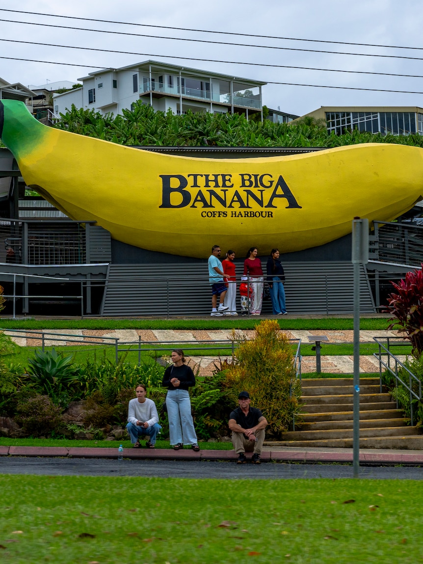 Anger as Coles in home of the Big Banana to drop local bananas