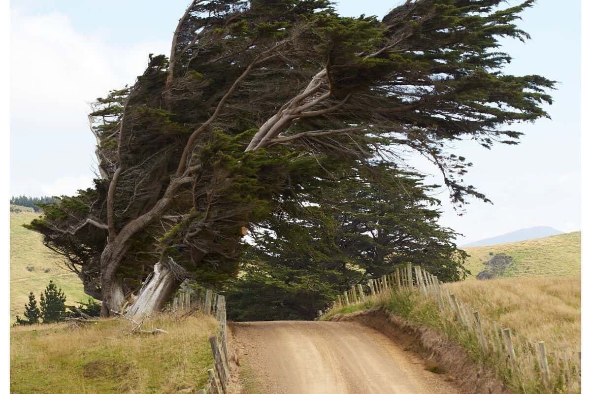WEATHER: Brace for strong afternoon winds in this province