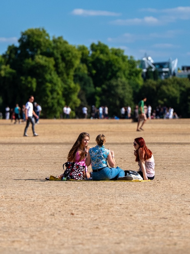‘Never seen anything like this’: Britain’s parks and pastures turn brown