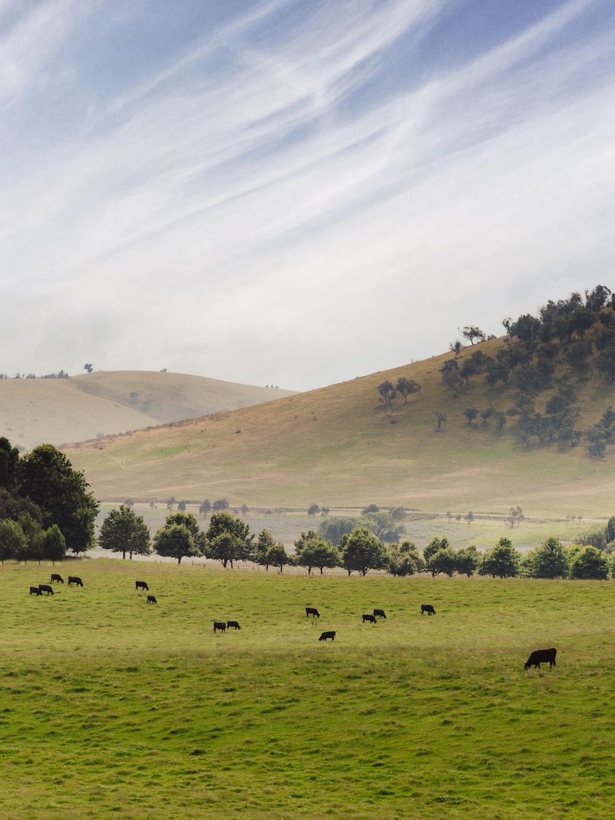 Historic farm’s sale to carbon credit company raises community ire