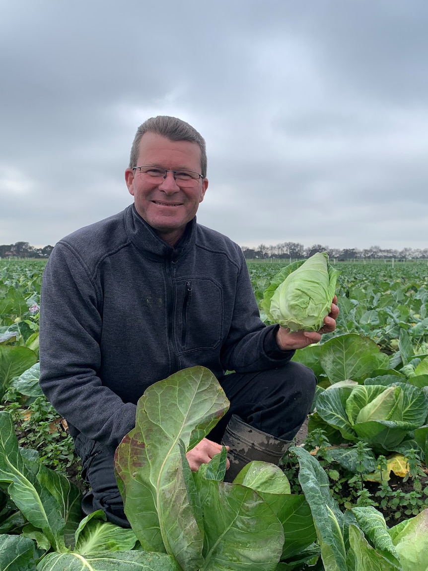 Side dish vegetable takes the spotlight as vegetable of the year