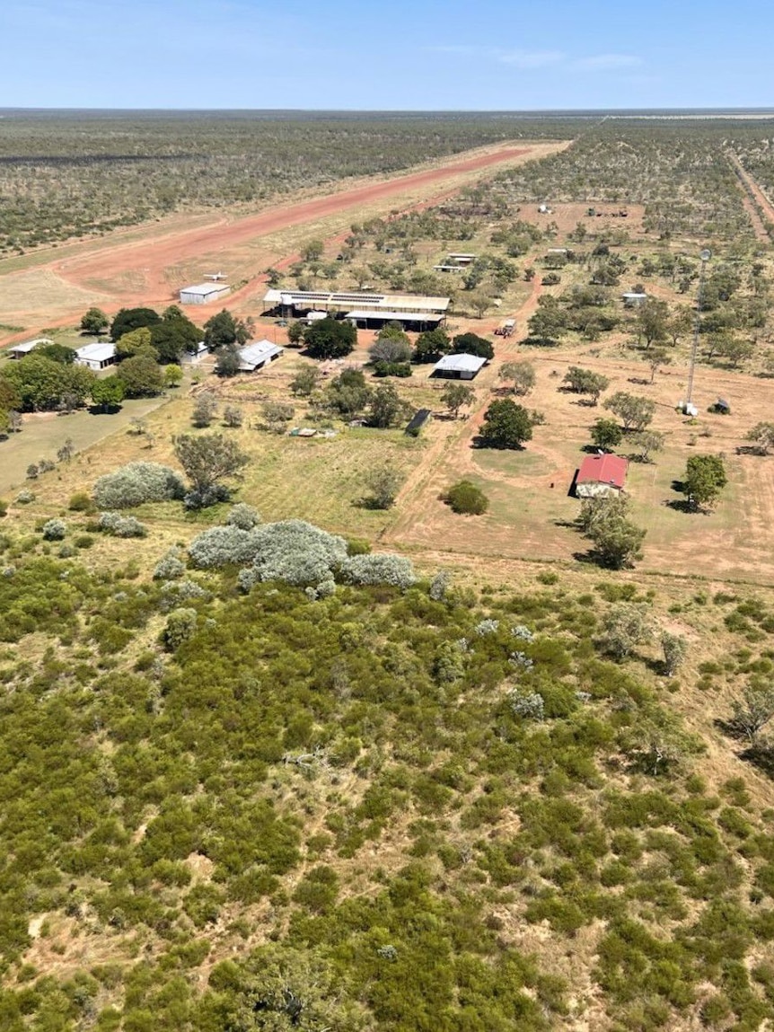 NT cattle station sells for $26m after carbon plan crashes